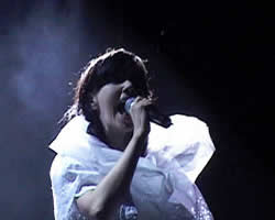 &copy; bjork.com